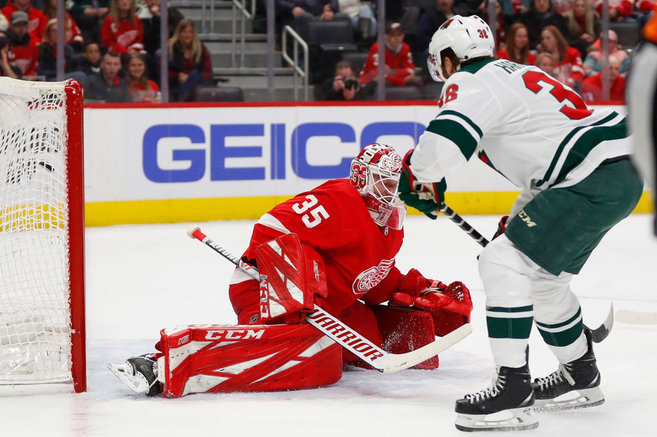 Minnesota Wild vs Detroit Red Wings