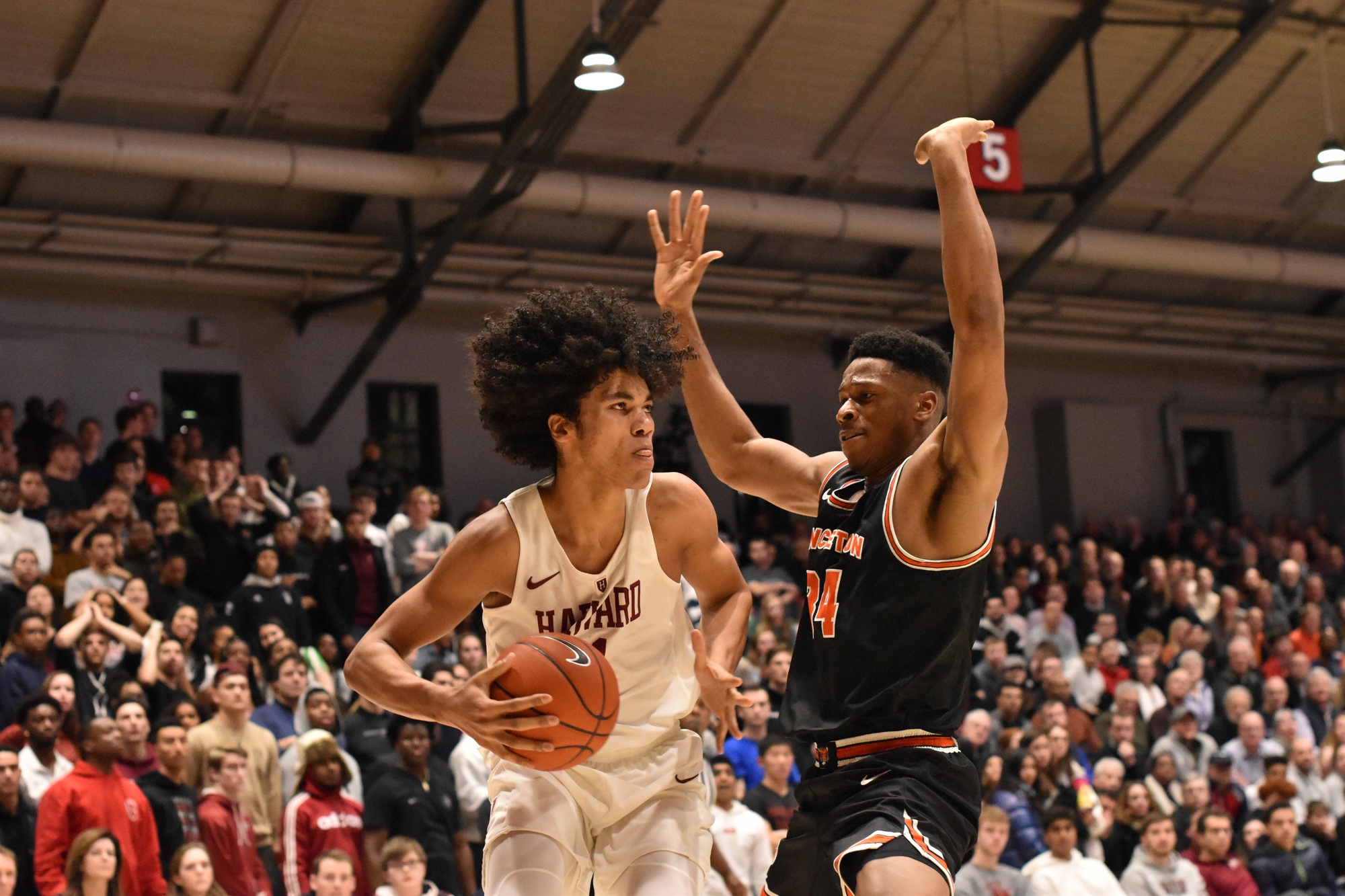 Princeton Vs Harvard