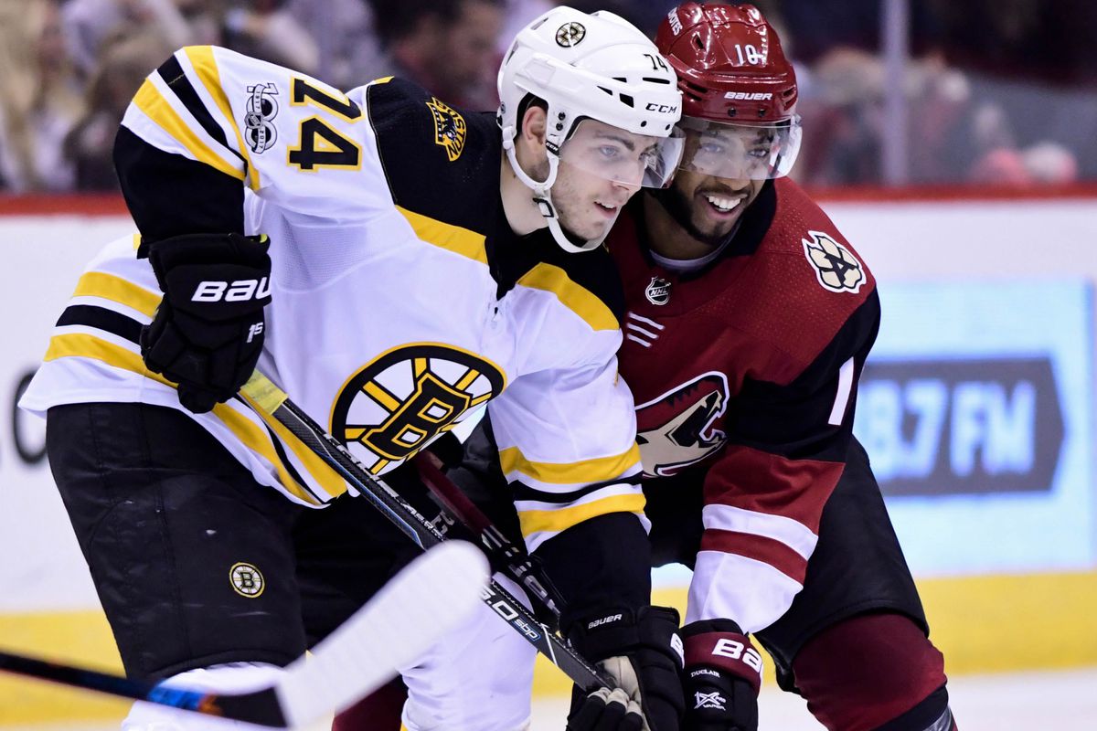 Boston Bruins vs Arizona Coyotes