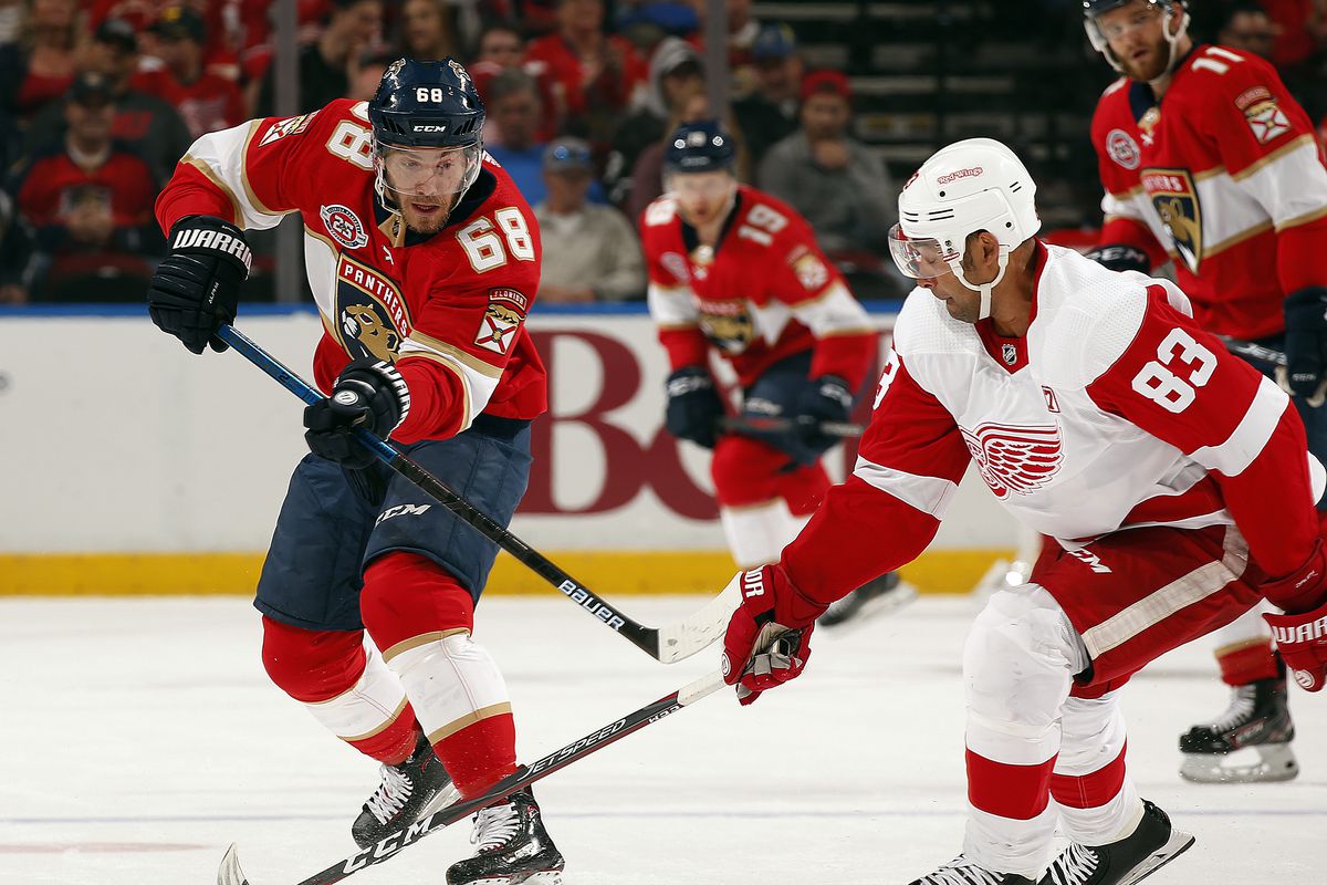 Florida Panthers vs Detroit Red Wings